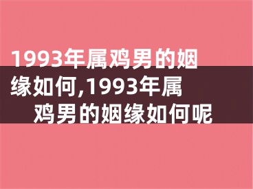 1993年属鸡男的姻缘如何,1993年属鸡男的姻缘如何呢