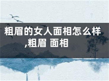 粗眉的女人面相怎么样,粗眉 面相