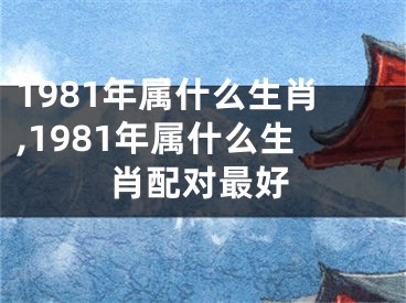 1981年属什么生肖,1981年属什么生肖配对最好