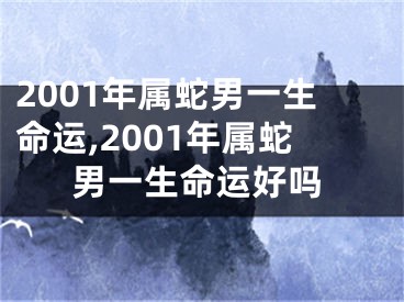 2001年属蛇男一生命运,2001年属蛇男一生命运好吗