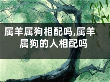 属羊属狗相配吗,属羊属狗的人相配吗