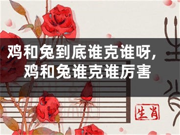 鸡和兔到底谁克谁呀,鸡和兔谁克谁厉害