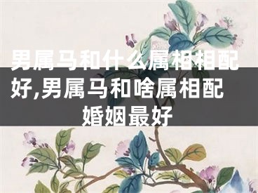 男属马和什么属相相配好,男属马和啥属相配婚姻最好