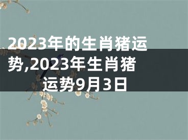 2023年的生肖猪运势,2023年生肖猪运势9月3日