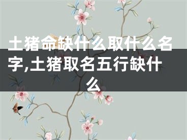 土猪命缺什么取什么名字,土猪取名五行缺什么