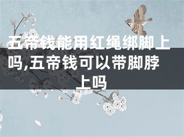 五帝钱能用红绳绑脚上吗,五帝钱可以带脚脖上吗