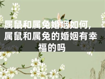 属鼠和属兔婚姻如何,属鼠和属兔的婚姻有幸福的吗