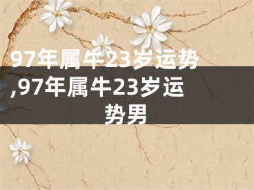 97年属牛23岁运势,97年属牛23岁运势男