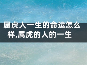 属虎人一生的命运怎么样,属虎的人的一生