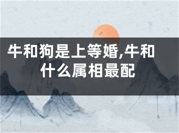 牛和狗是上等婚,牛和什么属相最配