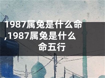 1987属兔是什么命,1987属兔是什么命五行