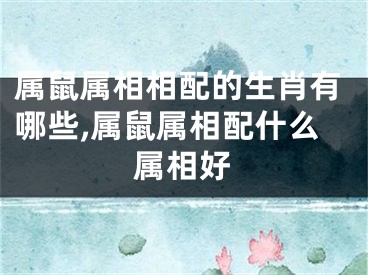 属鼠属相相配的生肖有哪些,属鼠属相配什么属相好