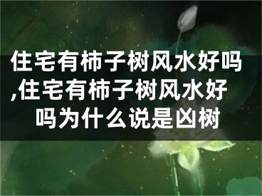 住宅有柿子树风水好吗,住宅有柿子树风水好吗为什么说是凶树