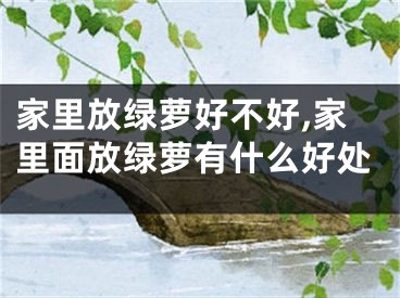 家里放绿萝好不好,家里面放绿萝有什么好处