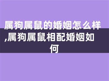 属狗属鼠的婚姻怎么样,属狗属鼠相配婚姻如何