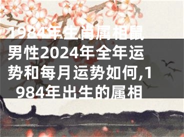 1984年生肖属相鼠男性2024年全年运势和每月运势如何,1984年出生的属相