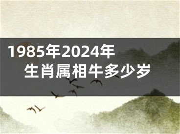 1985年2024年生肖属相牛多少岁