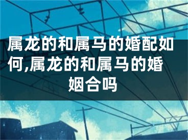 属龙的和属马的婚配如何,属龙的和属马的婚姻合吗