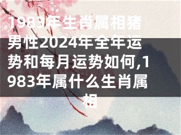 1983年生肖属相猪男性2024年全年运势和每月运势如何,1983年属什么生肖属相