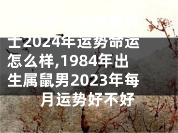 1984年出生属鼠男士2024年运势命运怎么样,1984年出生属鼠男2023年每月运势好不好