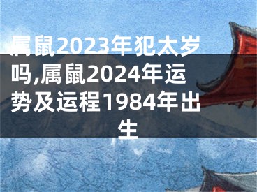 属鼠2023年犯太岁吗,属鼠2024年运势及运程1984年出生