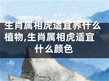 生肖属相虎适宜养什么植物,生肖属相虎适宜什么颜色