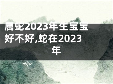 属蛇2023年生宝宝好不好,蛇在2023年