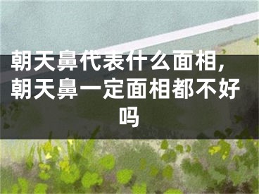 朝天鼻代表什么面相,朝天鼻一定面相都不好吗