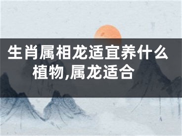 生肖属相龙适宜养什么植物,属龙适合