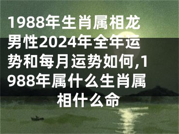 1988年生肖属相龙男性2024年全年运势和每月运势如何,1988年属什么生肖属相什么命