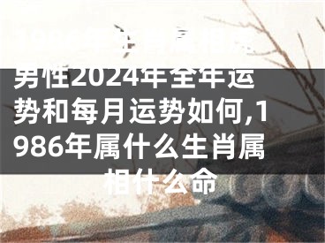 1986年生肖属相虎男性2024年全年运势和每月运势如何,1986年属什么生肖属相什么命