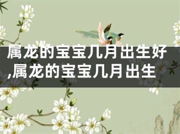 属龙的宝宝几月出生好,属龙的宝宝几月出生