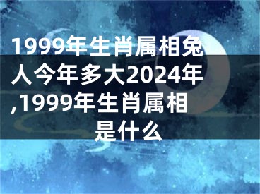 1999年生肖属相兔人今年多大2024年,1999年生肖属相是什么