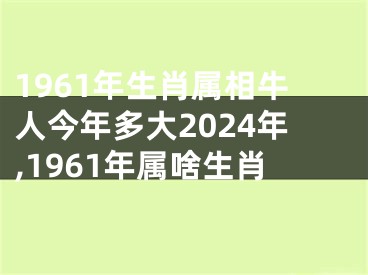 1961年生肖属相牛人今年多大2024年,1961年属啥生肖