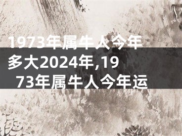 1973年属牛人今年多大2024年,1973年属牛人今年运