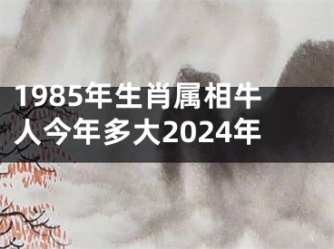 1985年生肖属相牛人今年多大2024年