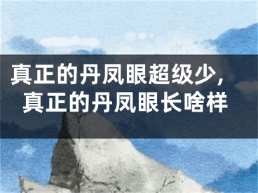 真正的丹凤眼超级少,真正的丹凤眼长啥样