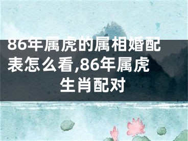 86年属虎的属相婚配表怎么看,86年属虎生肖配对