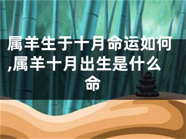 属羊生于十月命运如何,属羊十月出生是什么命