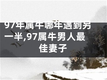 97年属牛哪年遇到另一半,97属牛男人最佳妻子