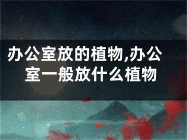 办公室放的植物,办公室一般放什么植物