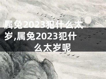 属兔2023犯什么太岁,属兔2023犯什么太岁呢