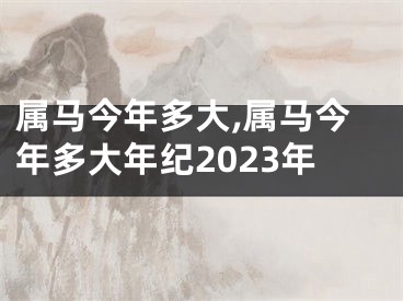 属马今年多大,属马今年多大年纪2023年