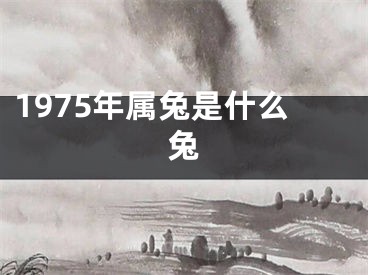 1975年属兔是什么兔