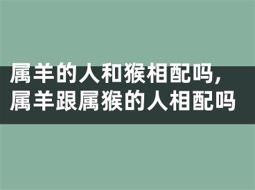 属羊的人和猴相配吗,属羊跟属猴的人相配吗