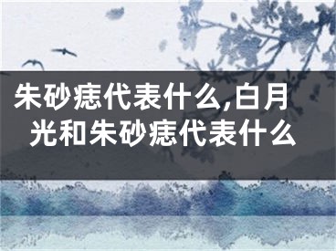 朱砂痣代表什么,白月光和朱砂痣代表什么