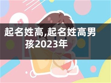 起名姓高,起名姓高男孩2023年