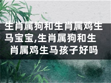 生肖属狗和生肖属鸡生马宝宝,生肖属狗和生肖属鸡生马孩子好吗