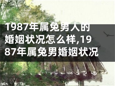 1987年属兔男人的婚姻状况怎么样,1987年属兔男婚姻状况