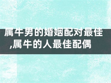 属牛男的婚姻配对最佳,属牛的人最佳配偶